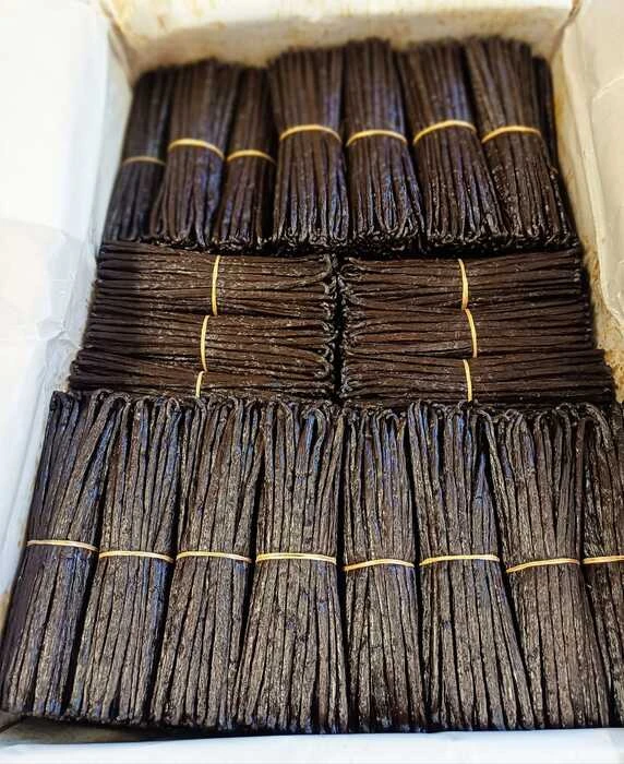 Tube de 10 Gousses Gourmet Bourbon de Madagascar
